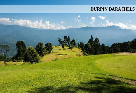 Durpin_Dara_Hills