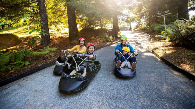 Luge ride rotorua