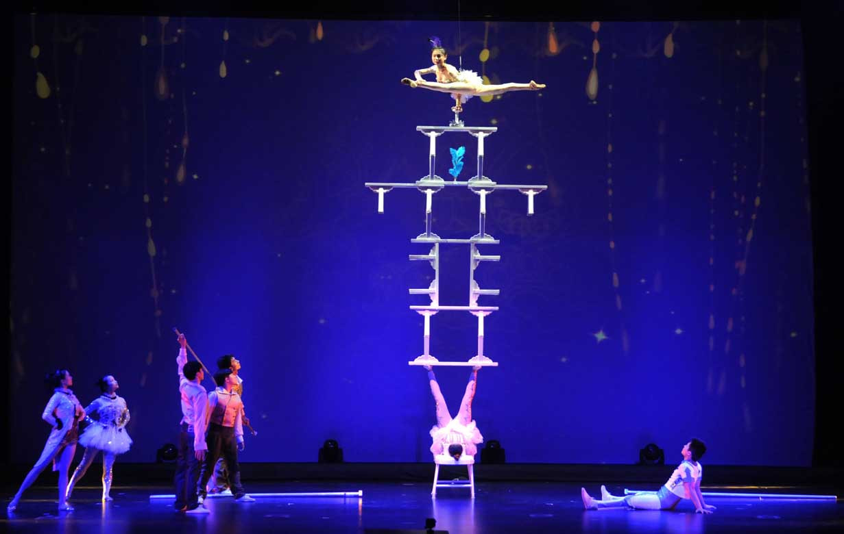 Shanghai Acrobatic Show 2