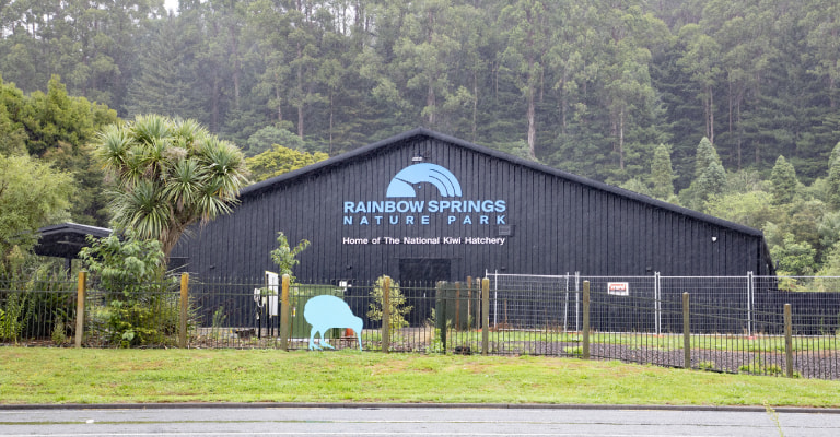 Rainbow springs Rotorua