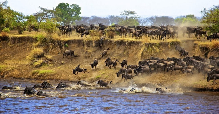 Masai Mara