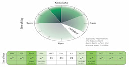 Time Chart