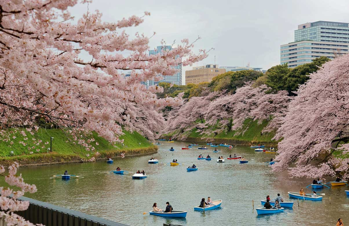 Chidorigafuchi Park 