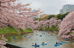 Chidorigafuchi Park 