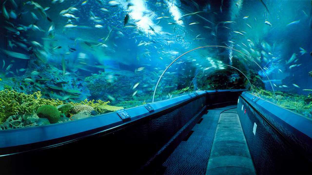 Ocean Aquarium