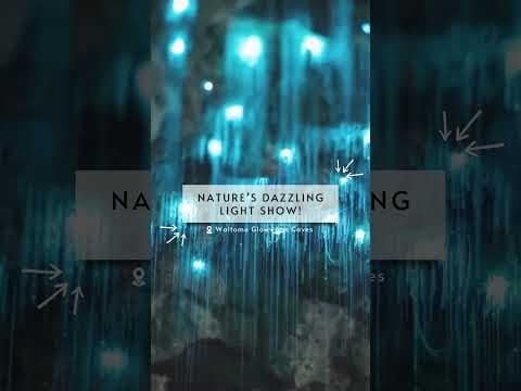 New Zealand Itinerary 13 Days