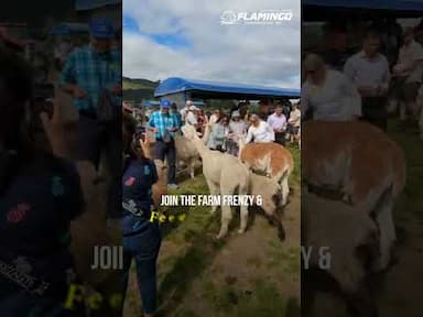 Australia & New Zealand NRI Special Tour