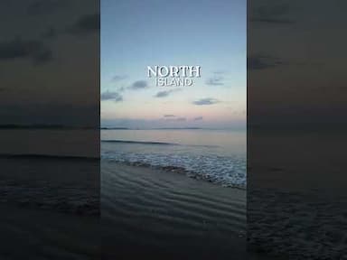 Thrilling Adventures in New Zealand!