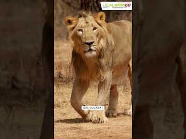 Best Places to explore in November within India