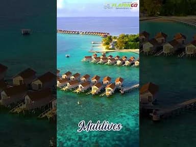 Take a trip to wonders of Asia with Flamingo!