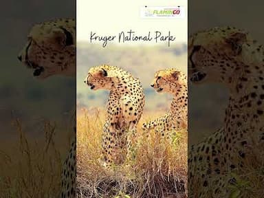 Best Places to Visit in South Africa