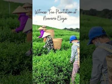 Things to do in Sri Lanka