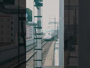 Traveling Japan With Flamingo