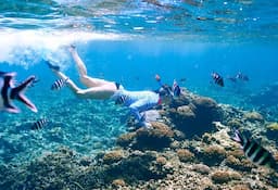 Angthong National Marine Park