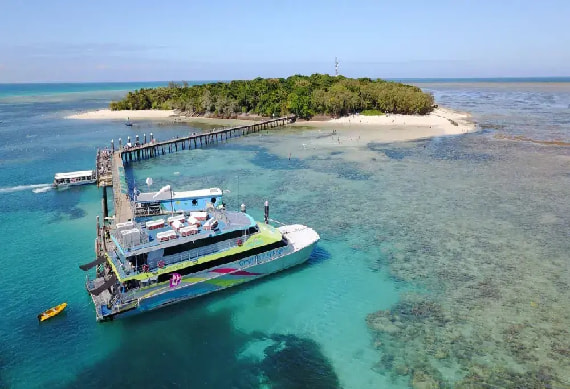 Big Cat Green Island