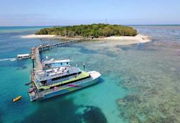 Big Cat Green Island