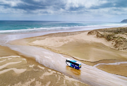 Cape Reinga and Ninety Mile Beach Tour