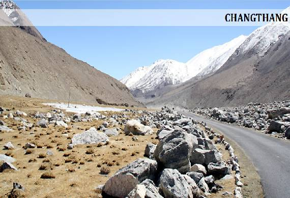 Changthang__