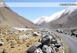 Changthang__