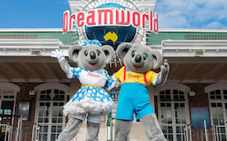 Dreamworld Gold Cost