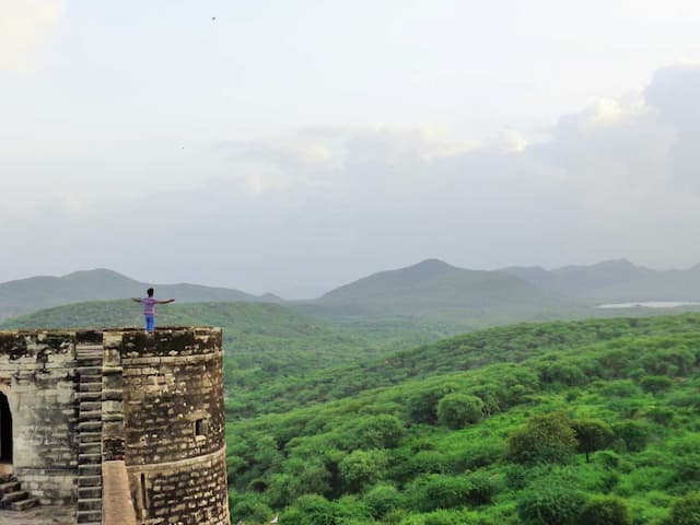 Wildlife and Beaches of Saurashtra