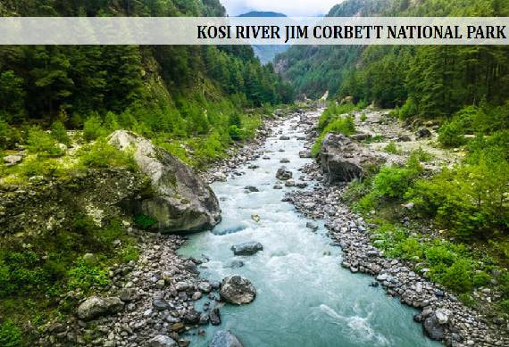 Kosi_Jim_Corbett