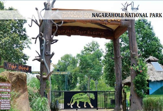 Nagarahole_National