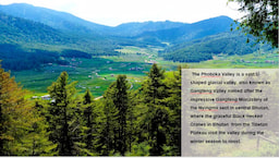 Phobjikha Valley