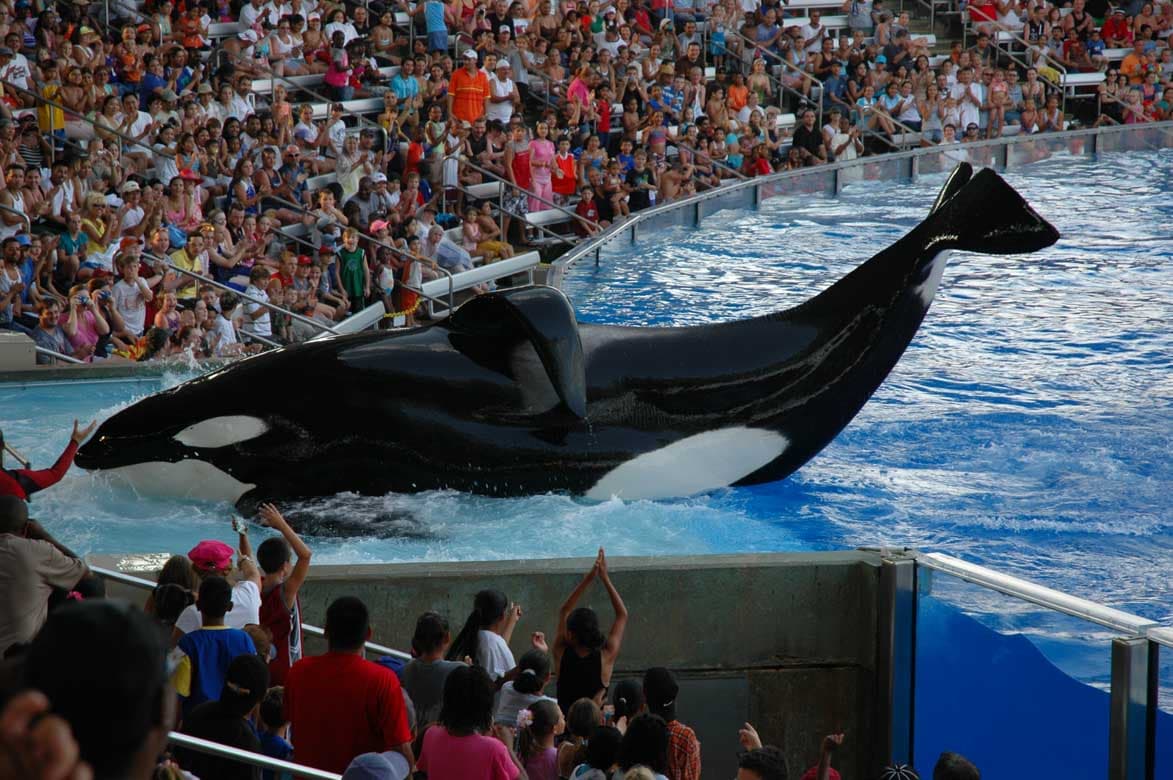 Seaworld Orlando