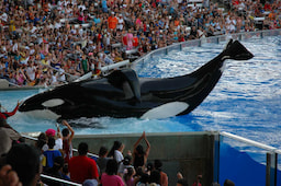 Seaworld Orlando
