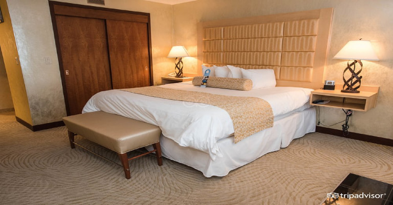 Seneca Niagara Resort & Casino Room