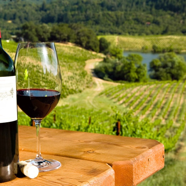 Visit a famous Vineyard