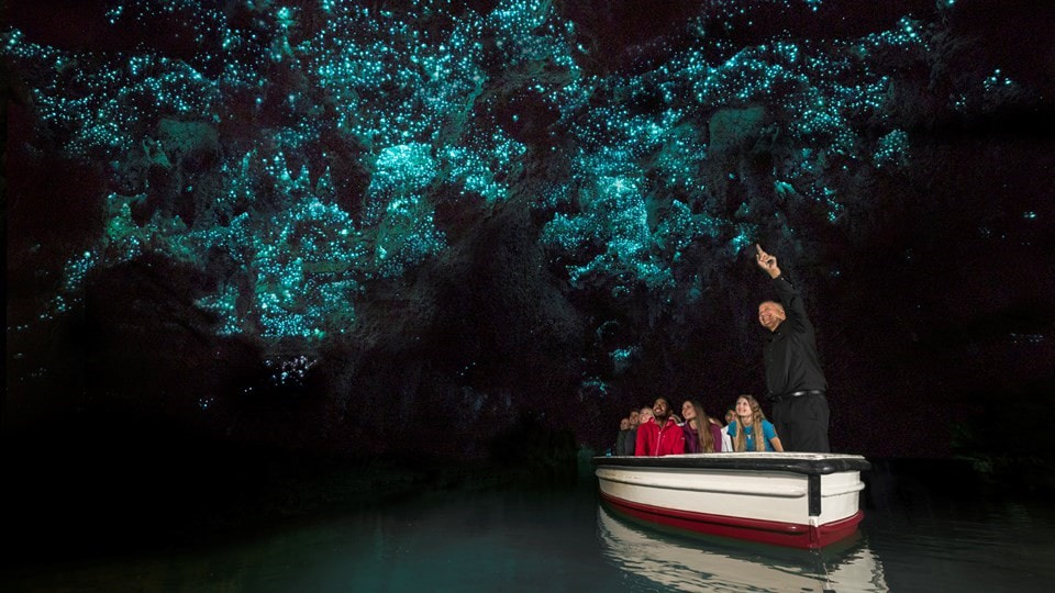 Waitomo Caves