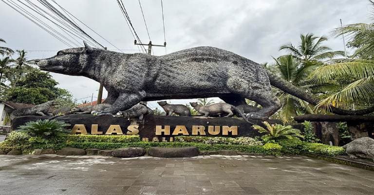 Alas Harum