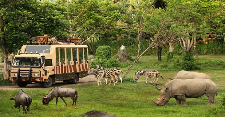 Bali safari & marine park