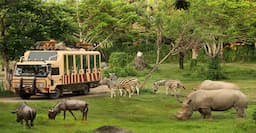 Bali safari & marine park