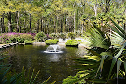 Norfolk Botanical Garden