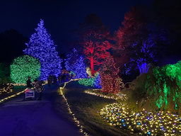 Norfolk Botanical Garden