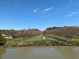 Norfolk Botanical Garden