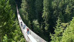 Capilano Suspension Bridge