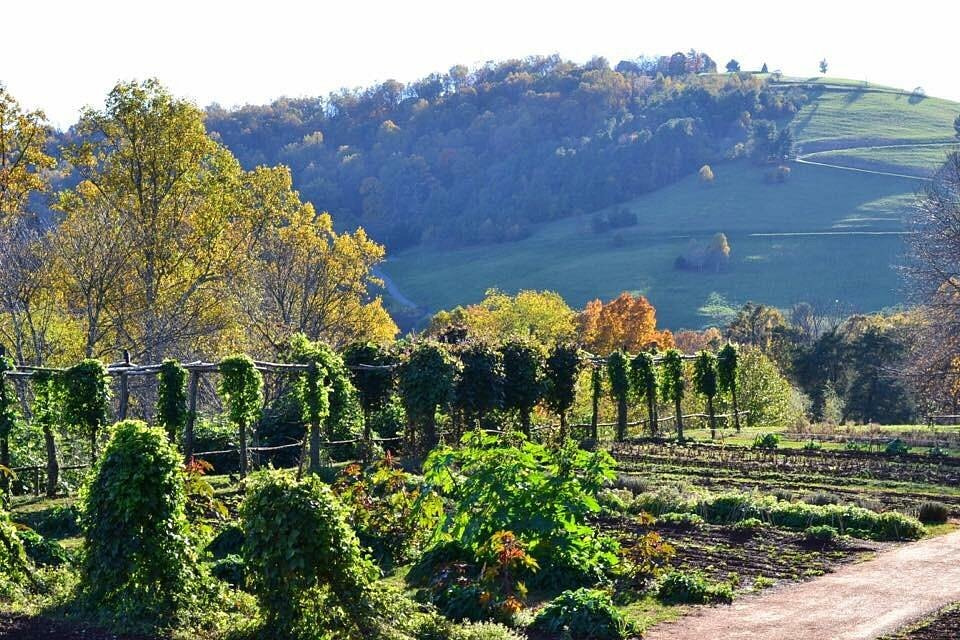 charlottesville-city-in-virginia