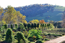 charlottesville-city-in-virginia