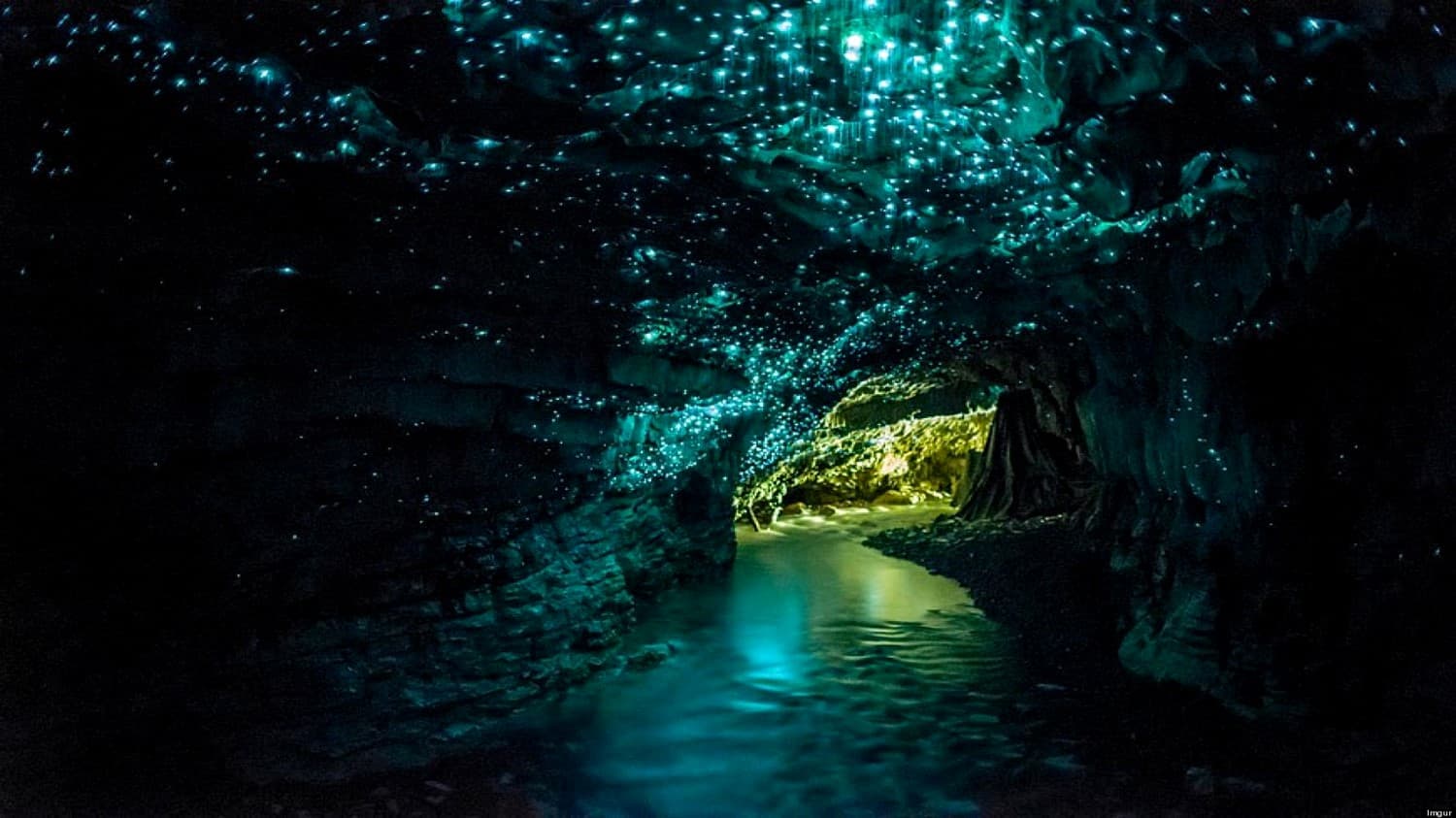 Waitomo Glowworm Caves