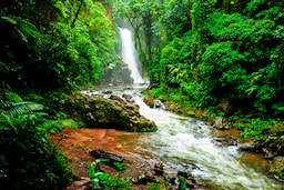 La Paz Waterfall Gardens