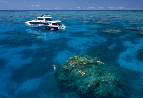 Big Cat Green Island Semi Submarine