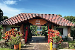 Costa Rica Doka Estate Coffee Tour And Plantation