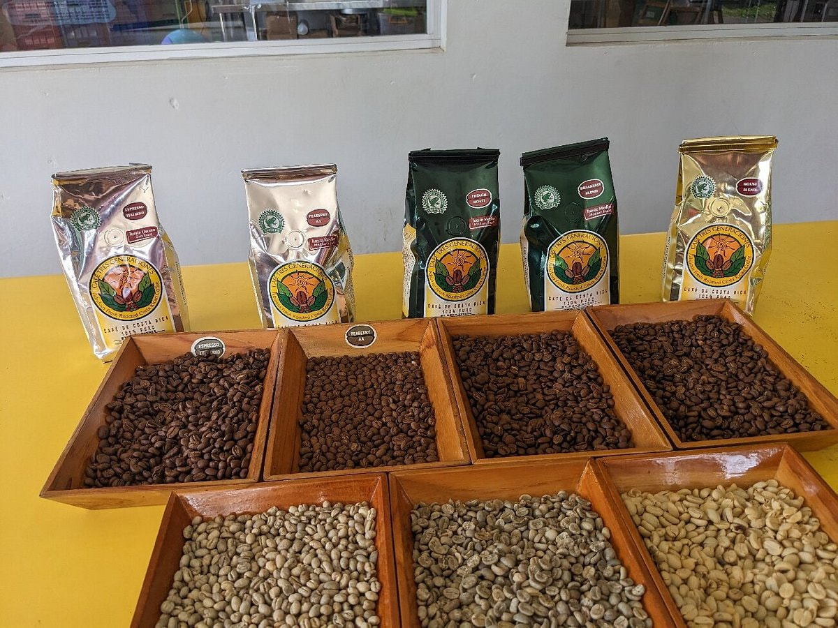 Costa Rica Doka Estate Coffee Tour And Plantation