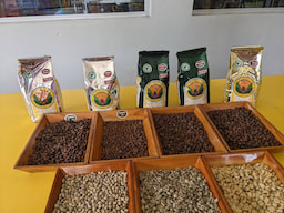 Costa Rica Doka Estate Coffee Tour And Plantation