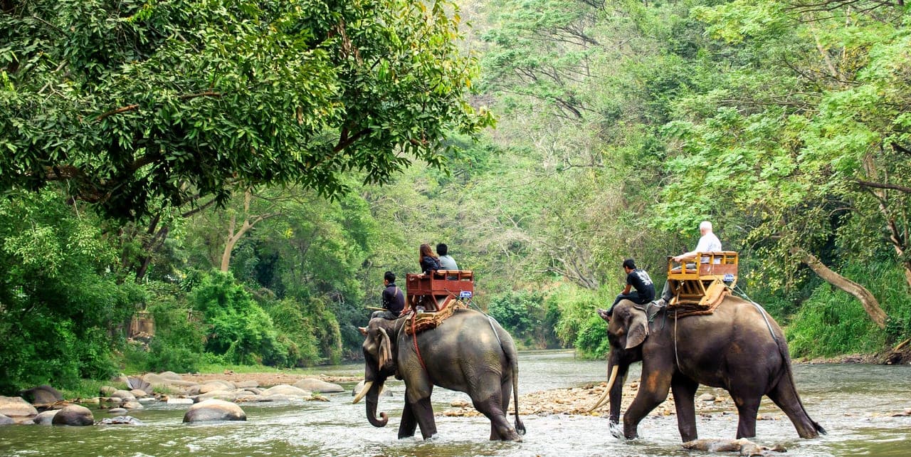 Elephant Trekking Phuket