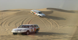 Desert Safari